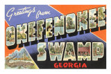Greetings from Okefenokee Swamp, Georgia Photo