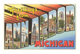 Greetings from Ann Arbor, Michigan Prints