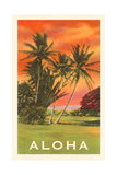 Aloha: Palm Trees Obrazy Aloha: Palm Trees Obrazy