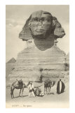Sphinx, Gizeh, Egypte Posters