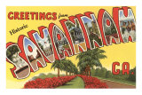 Greetings from Savannah, Georgia Posters