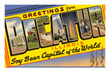 Greetings from Decatur, Illinois Posters