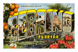 Greetings from Sebring, Florida Prints