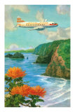 Airliner over Hawaii Print