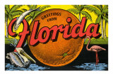 Greetings from Florida Posters
