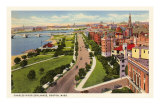 Charles River Esplanade, Boston, Massachusetts Poster