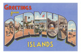 Greetings from Bermuda Posters Greetings from Bermuda Posters