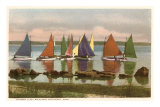 Rainbow Fleet, Nantucket, Massachusetts Photo