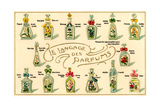 Langage des parfums Poster