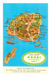 Map of Kauai, Hawaii Prints