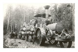 Camionnage de bois de charpente Affiches