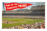 Home of the Minnesota Twins Poster