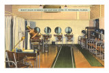 Beauty Salon, St. Petersburg, Florida Posters