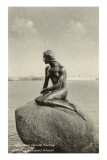Little Mermaid, Copenhagen, Denmark Prints
