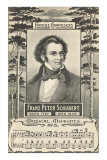 Franz Schubert and Music Posters