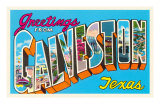 Greetings from Galveston, Texas Posters