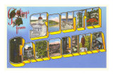 Greetings from South Carolina Posters