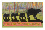 Greetings from Yellowstone National Park, Bears Prints