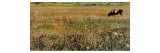 Roman Landscape Giclee Print by Umberto Boccioni