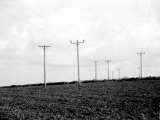 Poles Photographic Print by Dan Fone