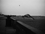 Bird Flies Photographic Print by Dan Fone