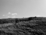 Heath, no.2 Photographic Print by Dan Fone