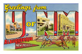 Greetings from University of New Mexico, Albuquerque, New Mexico Foto