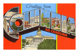 Greetings from Columbia, South Carolina Prints
