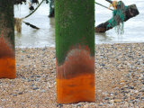 West Pier the End of an Era, 2008 Photographie par Paul Tolhurst