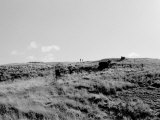 Heath Photographic Print by Dan Fone