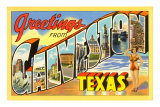 Greetings from Galveston, Texas Poster