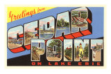 Greetings from Cedar Point, Ohio Poster