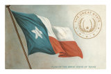 State Flag of Texas Poster
