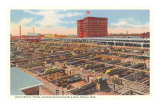 Union Stockyards, Omaha, Nebraska Posters