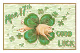 St. Patrick's Day, Pig and Shamrock Pôsters St. Patrick's Day, Pig and Shamrock Pôsters