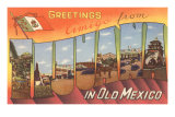 Greetings from Tijuana, Mexico Posters