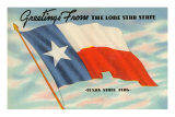 State Flag of Texas Posters