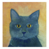 Russian Blue Impressão giclée por Mary Stubberfield Russian Blue Impressão giclée por Mary Stubberfield
