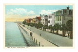 East Battery, Charleston, South Carolina  Poster
