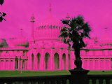 The Royal Pink Pavilion Brighton Photographic Print by Paul Tolhurst
