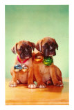 Boxer Puppies with Christmas Bulbs, Retro Láminas
