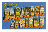 Greetings from Saratoga Springs, New York Posters