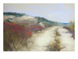 Dunes, Ocean View Giclee Print by Lois Gold