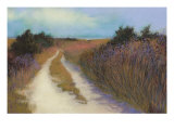 Glimpse of the Bay reproduction procédé giclée par Lois Gold