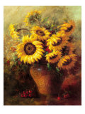 Maria's Sunflowers Giclee Print by Walt 