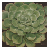 Succulent I reproduction procédé giclée par Janet Kruskamp
