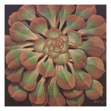 Succulent II reproduction procédé giclée par Janet Kruskamp