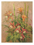 Exotics Collection I Giclee Print by Barbara Mock