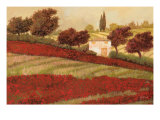 Apapaveri Toscana I Giclee Print by Guido Borelli