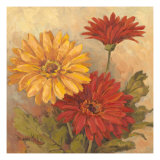 Margaritas gerbera II Lámina giclée por Barbara Mock